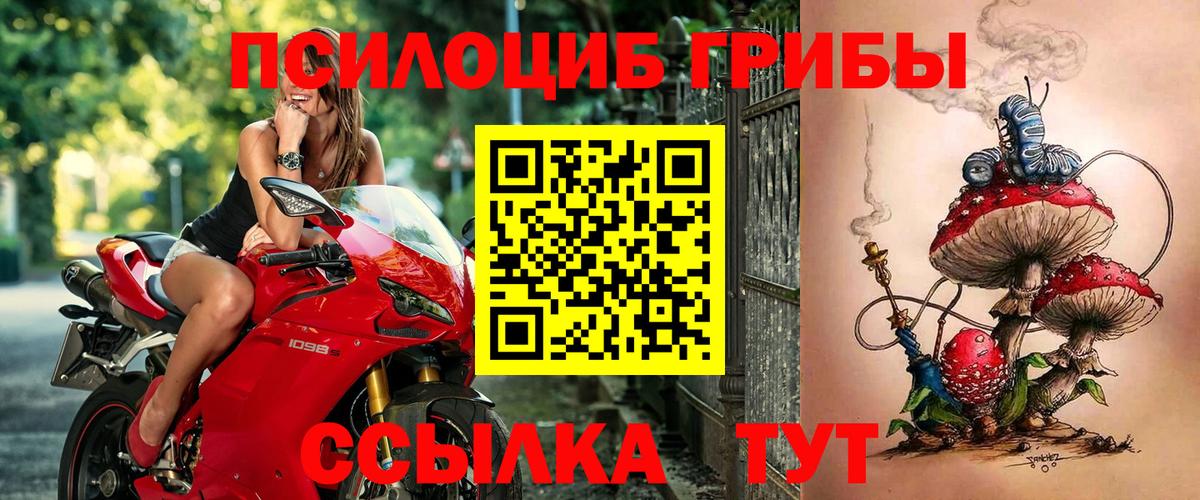 сколько стоит  Вход с VPN  Касимов  Псилоцибиновые грибы мицелий 